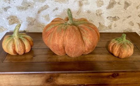 Citrouilles oranges et vertes