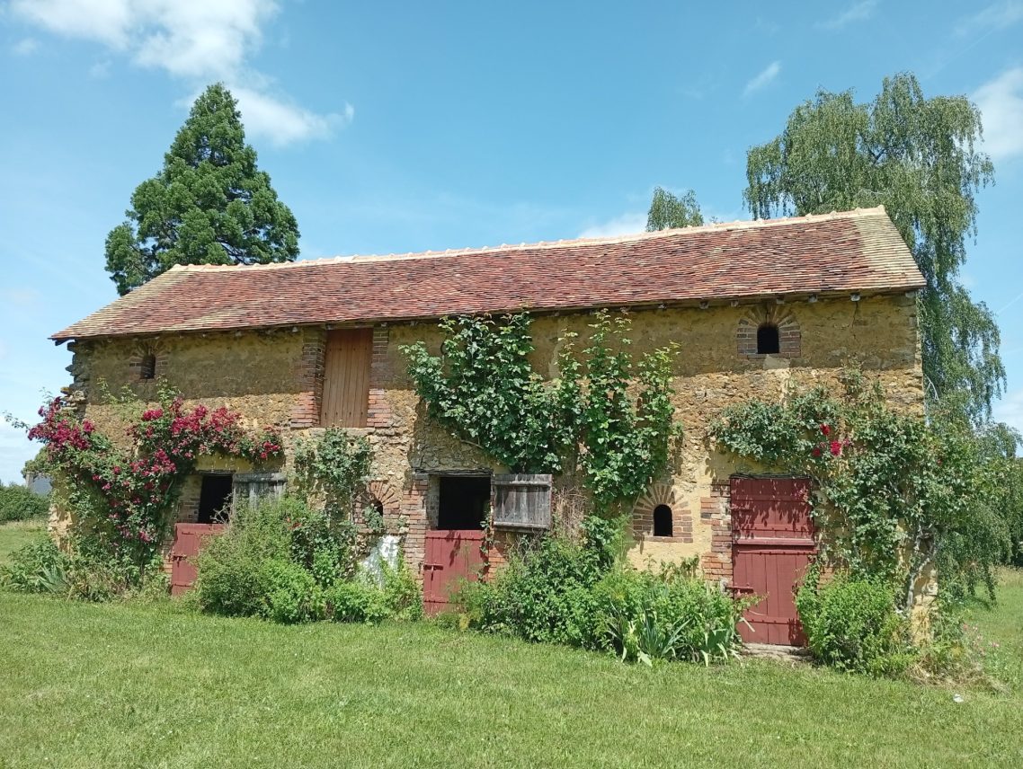 Dépendance au jardin